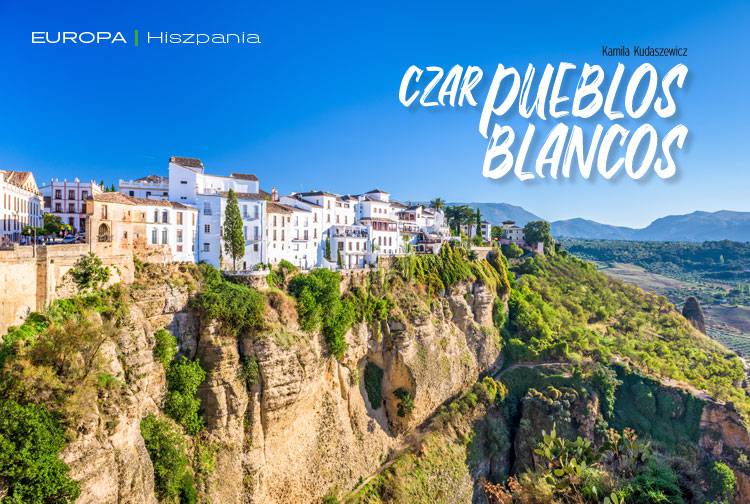 Losowy darmowy artykuł